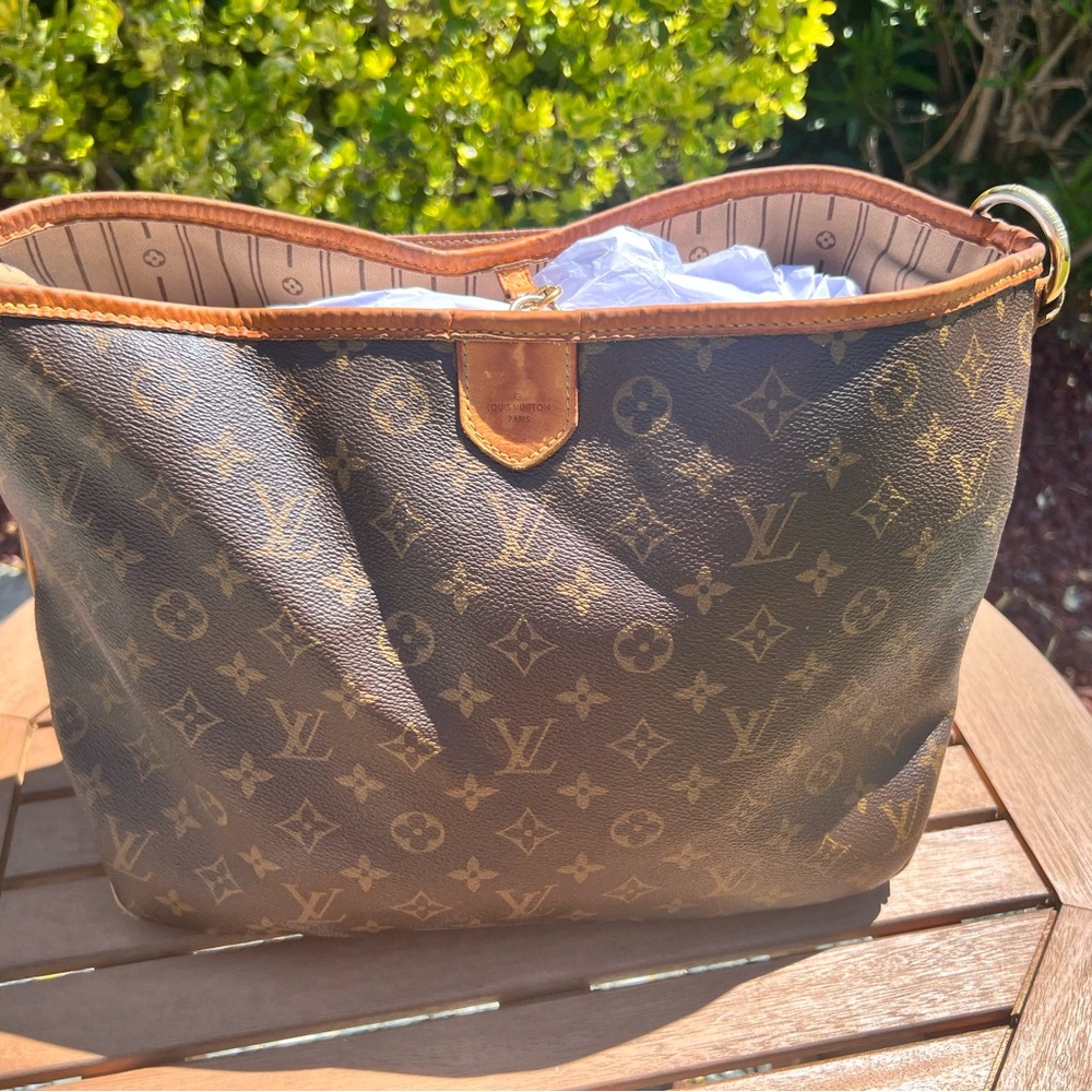Louis Vuitton Monogram Delightful PM Handbag